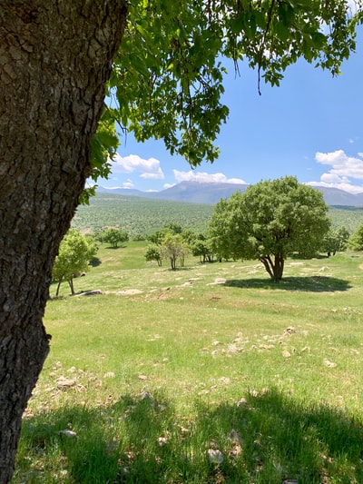 绿草如茵，绿树成荫，远处群山环抱